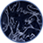 Aspects of the Crucible: Beast Skill Icon