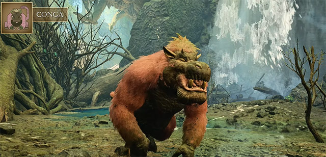 Conga Monster Overview