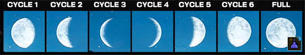 MH Full Moon Cycle Overview