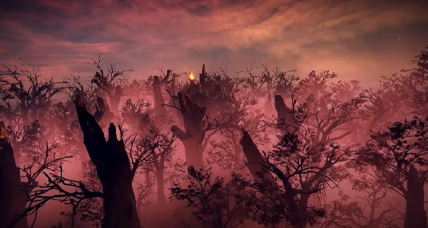 Rot Forest Overview