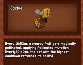 Queen Bee Overview