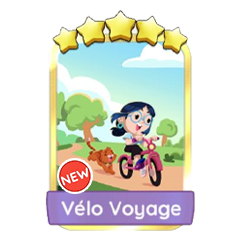 Vélo Voyage Gold Card