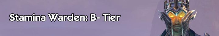 Stamina Warden B+ Tier